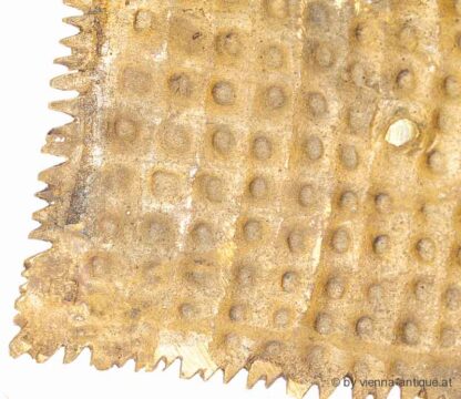 VIENNA BRONZE SIG. BERGMANN LIEGENDER ARABER MIT ZIGARRE – Bild 7