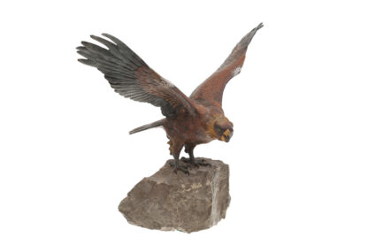 Bergmann Bronzefigur Adler auf Felsen