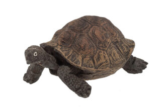 Elastolin Schildkröte