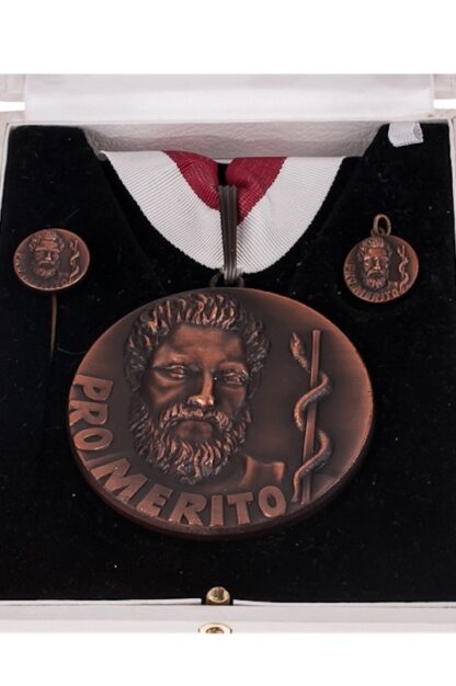 Medaille / Ehrenzeichen Ärztekammer Pro Merito – Bild 2
