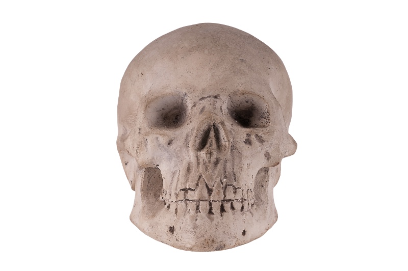 Memento Mori Totenkopf Skull