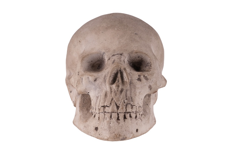 Memento Mori Totenkopf Skull • Vienna Antique