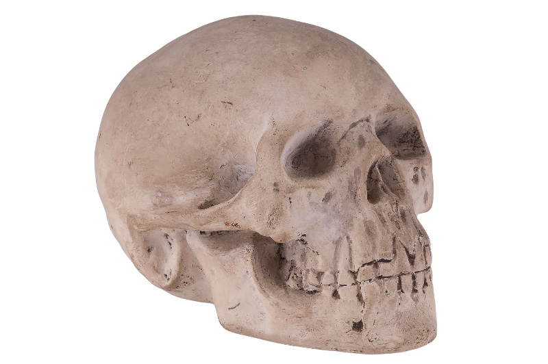 Memento Mori Totenkopf Skull • Vienna Antique