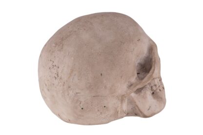 Memento Mori Totenkopf Skull – Bild 3