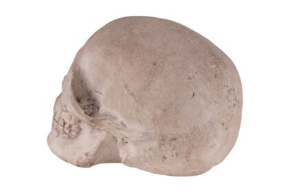 Memento Mori Totenkopf Skull – Bild 4