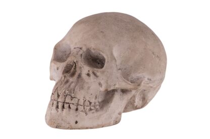 Memento Mori Totenkopf Skull – Bild 5