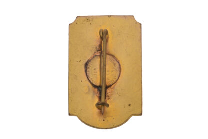 Abzeichen Pin Ärztliche Auslands Studienreise