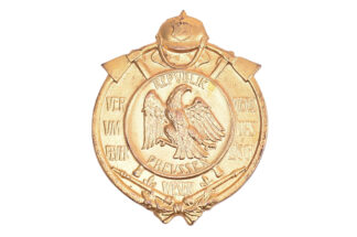 Pin Batch Verdienstabeichen um das Feuerlöschwesen