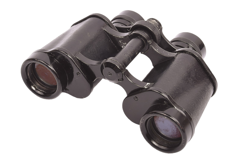 Swarovski Habicht 8x30 Fernglas 3 Swarovski Habicht 8x30 Fernglas – Bild 3