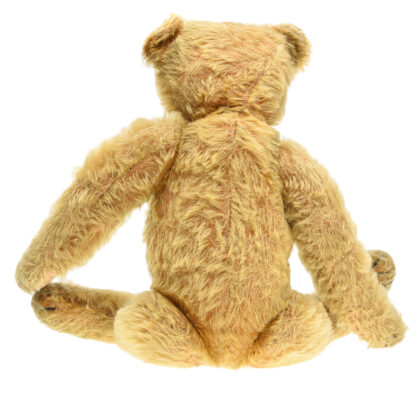 Steiff Teddy Bear ca 1910-1920 with FF Button 35cm – Bild 6