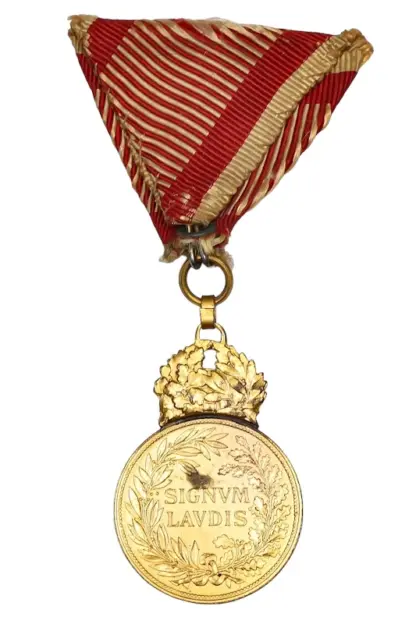 Bronzene Militärverdienstmedaille Signum Laudis Kaiser Karl – Bild 3