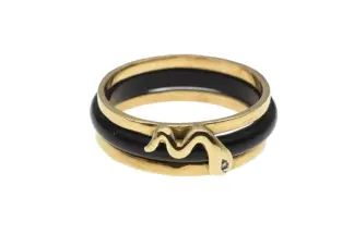 Goldring 585/14K mit schwarzem Zwischenring