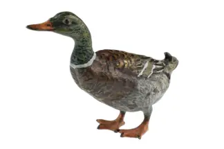 Bermann Bronzefigur Stockente FBW