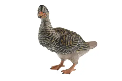 Bermann Bronzefigur Ente FBW – Bild 2