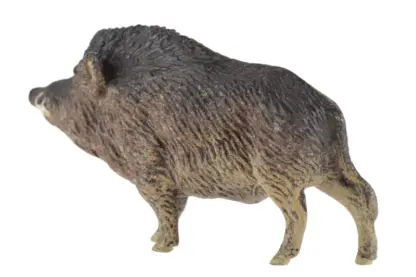 Lineol Eber Wildschwein – Bild 3
