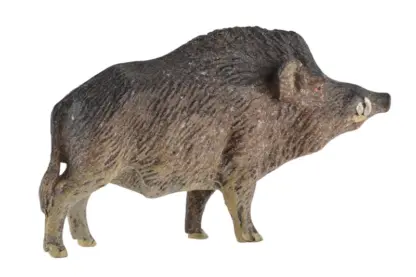 Lineol Eber Wildschwein – Bild 4