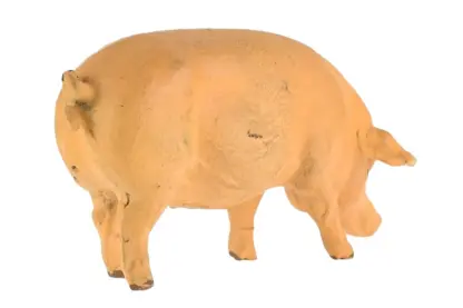 Lineol Schwein gehend – Bild 3