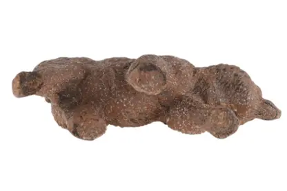 Lineol Braunbär gehend – Bild 5