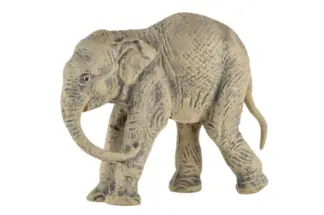 Lineol Indischer junger Elefant
