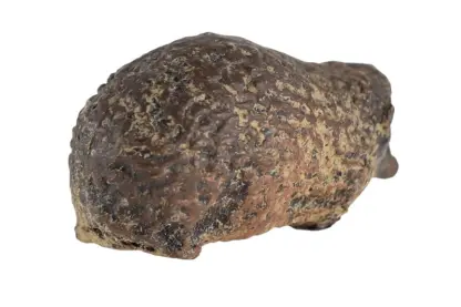 Lineol Massefigur Igel – Bild 2