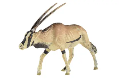 Lineol Oryx Antilope Massetier