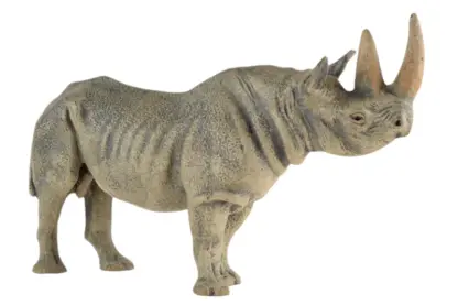 Lineol afrikanisches Spitzmaul Nashorn – Bild 2
