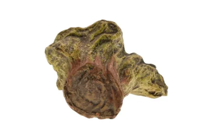 Elastolin Baumstumpf Vorkrieg extrem selten – Bild 6