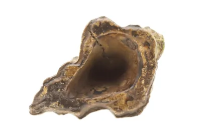Elastolin Baumstumpf Vorkrieg extrem selten – Bild 5