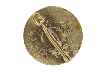 Pin Batch Bergrettungsdienst Österreich Miniatur – Bild 2