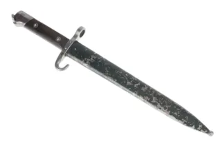 Österreich Messerbajonett M1895 LGKNÖ 1272