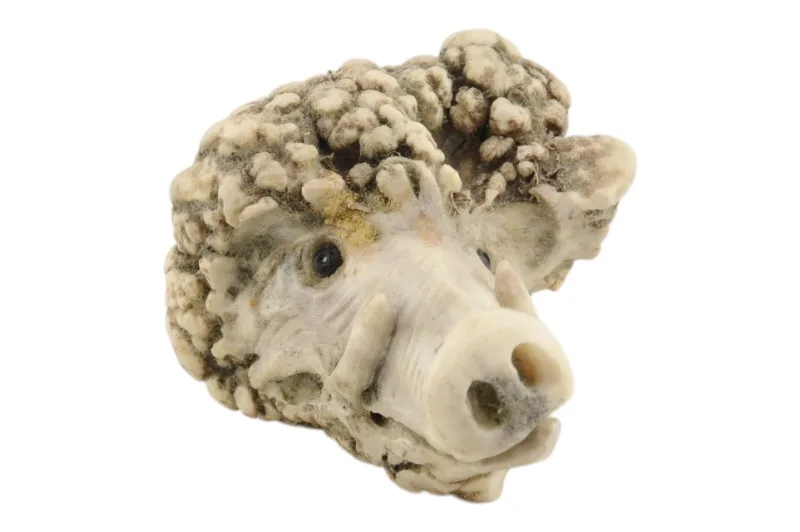 Geschnitzter Keilerkopf Trachtenanhänger Charivari aus Hirschhorn mit Silberkrone 7 Geschnitzter Keilerkopf Trachtenanhänger Charivari aus Hirschhorn mit Silberkrone – Bild 7